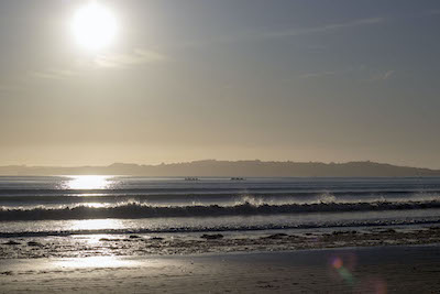 Men Paddling