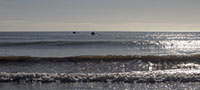 RBOCC Men's Crew Paddling In Waves